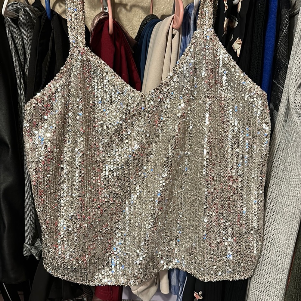 Zara sequin top